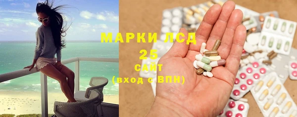 стаф Бородино