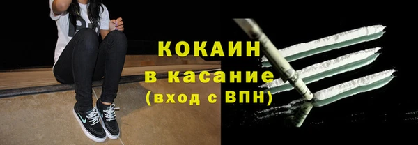 стаф Бородино