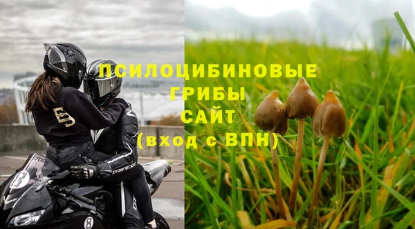 стаф Бородино