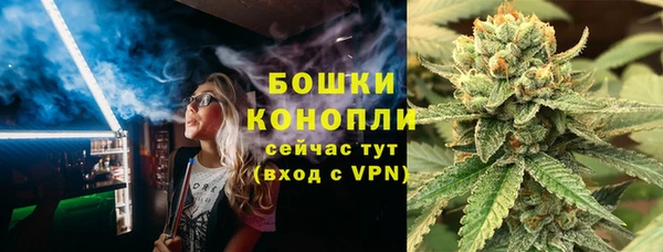 стаф Бородино