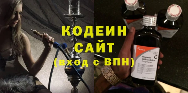 стаф Бородино