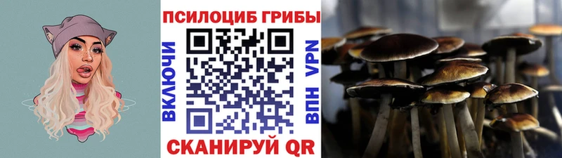 Галлюциногенные грибы Psilocybine cubensis  Белогорск 